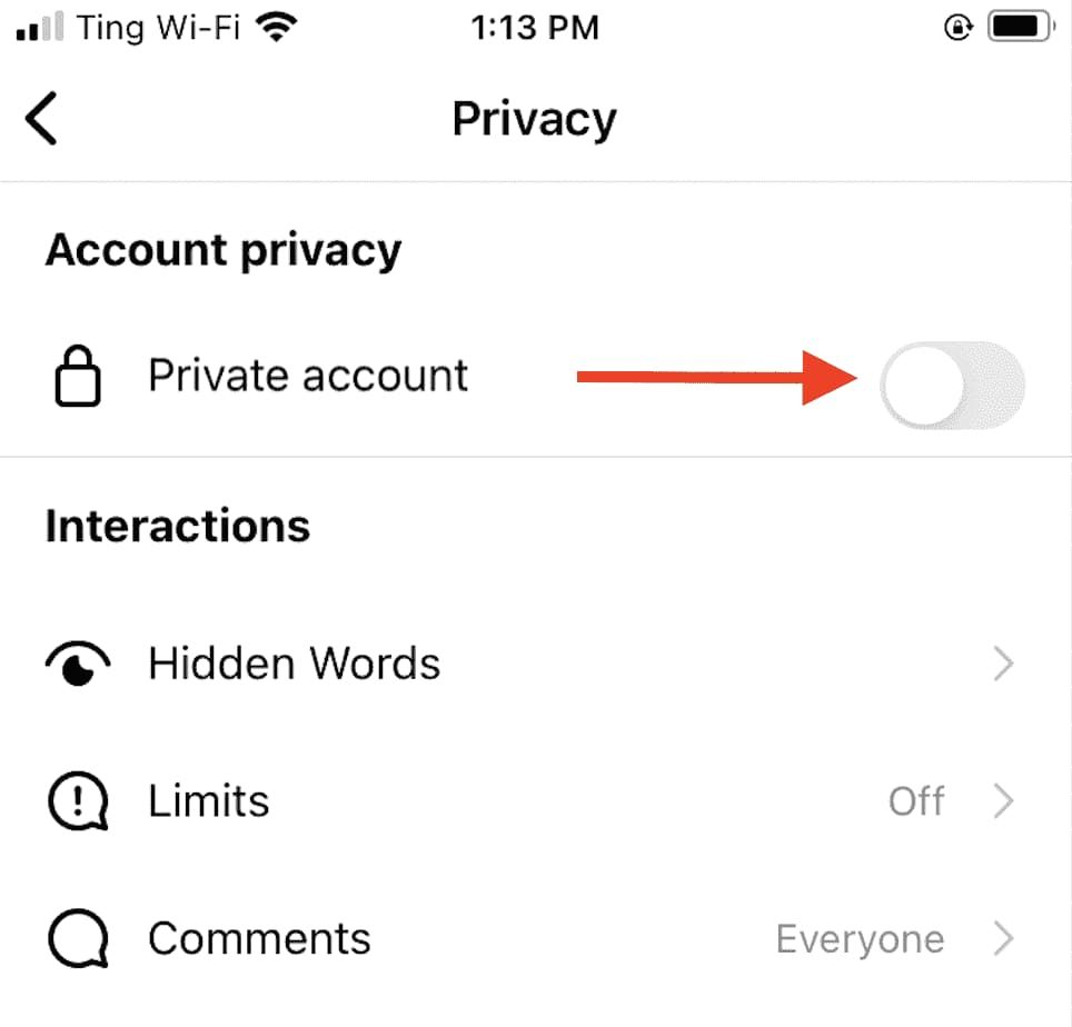 Keep your Instagram Private