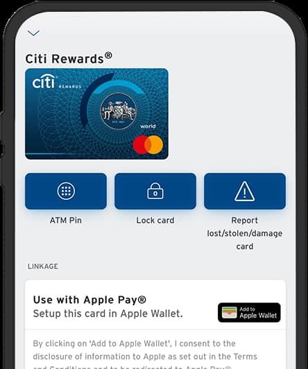 Report Lost or Stolen Cards