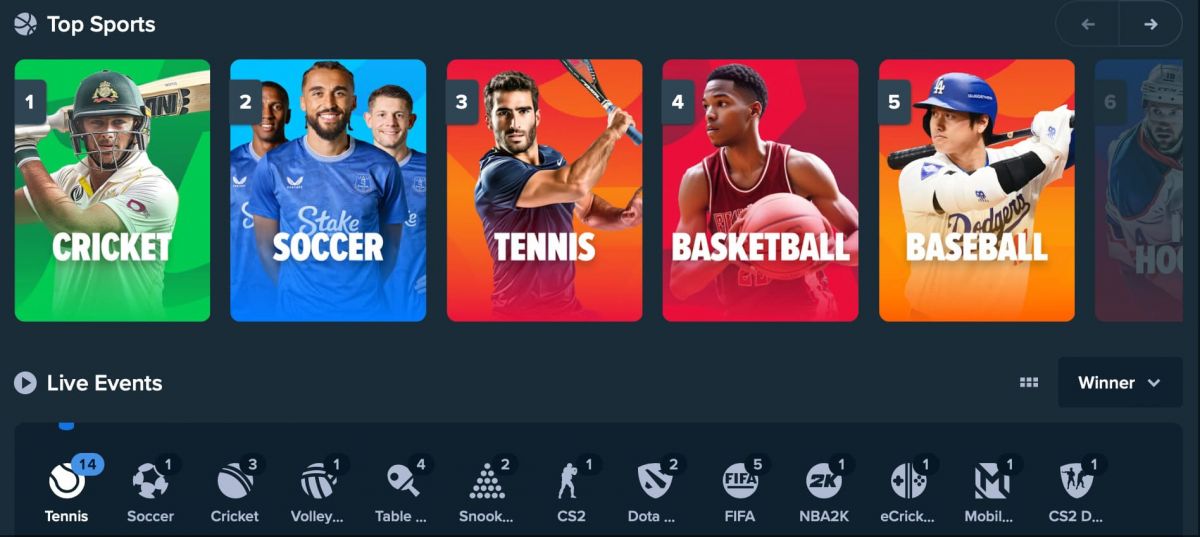 Beginner-Friendly Sports Betting on Stake.com